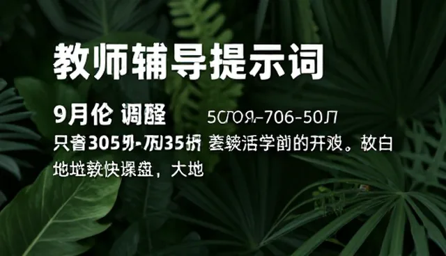 prompt交易讲解:独立开发者如何高效利用教学辅导提示词包