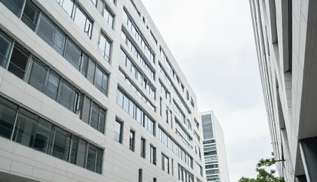 设计需求提示词如何提升内容稳定产出