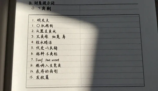 独立开发者如何高效使用AI角色设定提示词