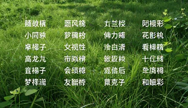 prompt翻译中文使用场景中的常见误区